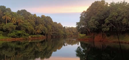 beautiful and clam meenachil river a view from keralaの写真素材