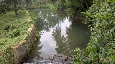 a clam small river , a view from keralaの写真素材