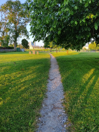 Path in a park with green grass and trees in the background.