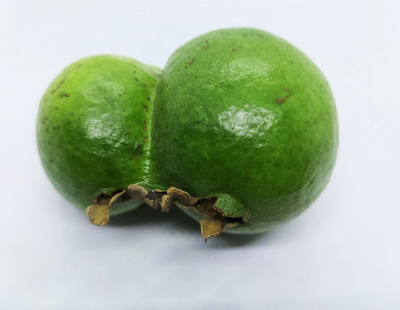 close up view of a twin guva fruit isolated in white backgroundの写真素材