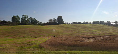 A picturesque view of a sunny rural landscape featuring vast green fields and a clear blue sky, exuding tranquility and natural beauty, perfect for themes of agriculture, serenity, and outdoor scenery.の写真素材