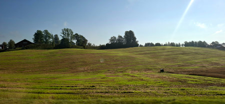 A picturesque view of a sunny rural landscape featuring vast green fields and a clear blue sky, exuding tranquility and natural beauty, perfect for themes of agriculture, serenity, and outdoor scenery.の写真素材
