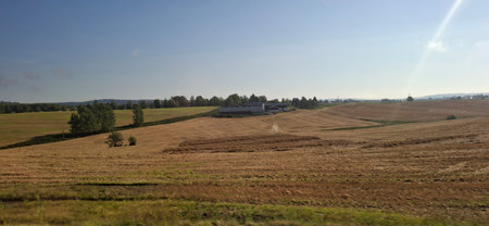 A picturesque view of a sunny rural landscape featuring vast green fields and a clear blue sky, exuding tranquility and natural beauty, perfect for themes of agriculture, serenity, and outdoor scenery.の写真素材