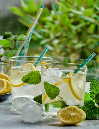 Cold citrus lemonade with mint leavesの写真素材