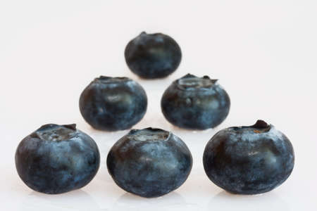 Blueberries in rowsの写真素材