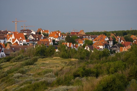	Landscape with flemish style houses