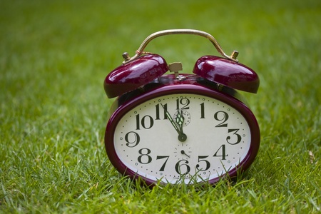 Clock on a green grassの写真素材