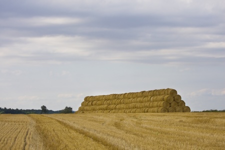 Straw bales on a big pile