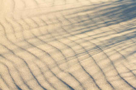Closeup of a sand on a beachの写真素材