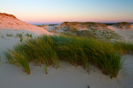 Sunset on the dunes, Slowinski National Park, Poland.の写真素材