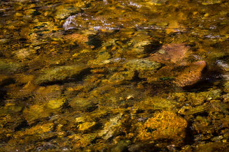 Stones on a bottom of a creek