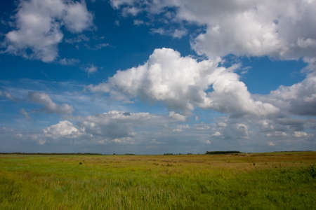 Belgian summer landscape, West Flanders, Belgium