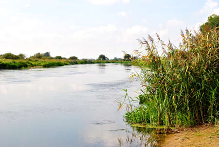Photo of a river flowing through a beautiful park. Spring Summer. Perfect for wallpaper.