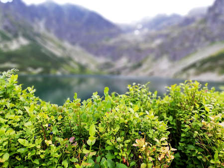 Beautiful lake in the national park. Tatry mountains. Spring Summer.の写真素材