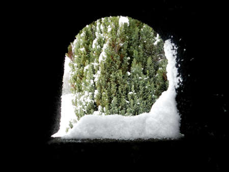 Winter in the garden, park. A lot of snow. Snow-covered trees. Cold and frosty morning.