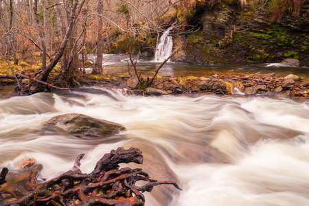 Waterfall on the Mountain Stream in the Forest