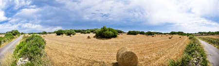 Harvest fields near Ciutadela, Minorca, Spain.の写真素材