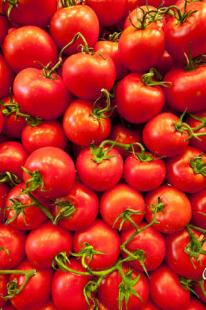 Tomatoes at a stand in the Boqueria Market, in Barcelona, Spain.の写真素材