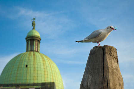 San Simeon Piccolo church dome detail at Venice, Italyの写真素材