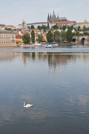 Vltava river as seem from Rasinovo Streetの写真素材