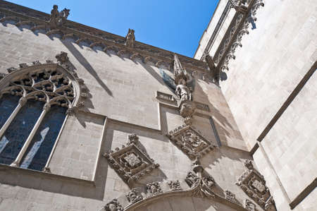 Gothic facade of the City-hall Building at Barcelona, Spainのeditorial素材