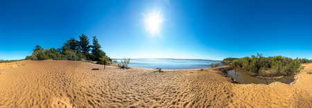 Yatay Palms (Syagrus Yatay) on El Palmar National Park, one of Argentina's national parks, located...