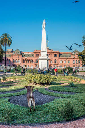 BUENOS AIRES, ARGENTINA - APR 08: Plaza de Mayo (May Square), the main square in the Monserrat neighborhood of central Buenos Aires on Apr 08, 2013 in Buenos Aires, Argentina.のeditorial素材
