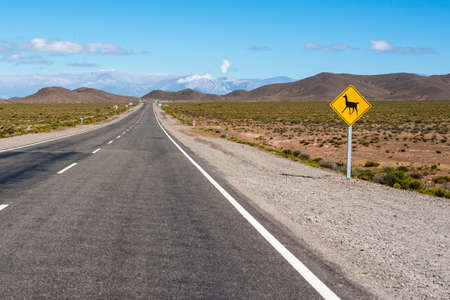 Recta Tintin within Los Cardones National Park along famous Route 40 in its section through the northern province of Salta, Argentina.の写真素材