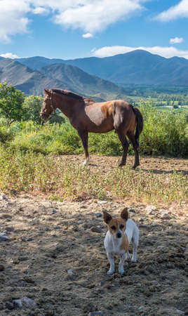 Cachi Adentro Region within Calchaqui Valleys in Salta Province, northern Argentinaの写真素材