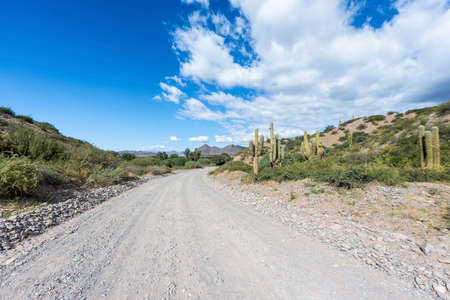 Famous Route 40 in its section through the northern province of Salta, Argentina.