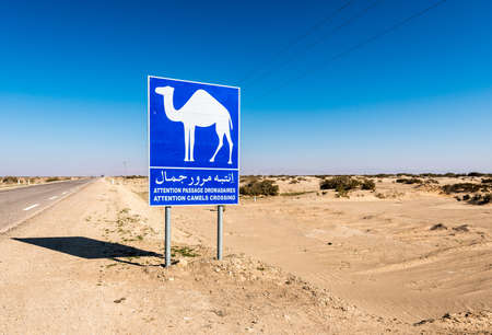 Chebika lies at the foot of the mountains of the Djebel el Negueb and it is known as Qasr el-Shams (の写真素材