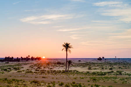 Sunrise in the desert near Douz in Kebili, Tunisiaの写真素材