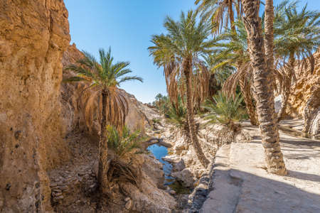 Chebika lies at the foot of the mountains of the Djebel el Negueb and it is known as Qasr el-Shams ("Castle of the Sun" in Arabic).の写真素材