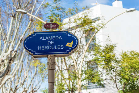 The Alameda de Hercules is an important mall or public garden located in the historical center of...