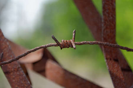 oxidized barbed wireの写真素材