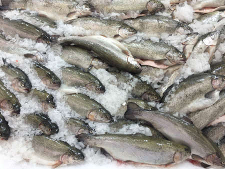 Fish on ice at market