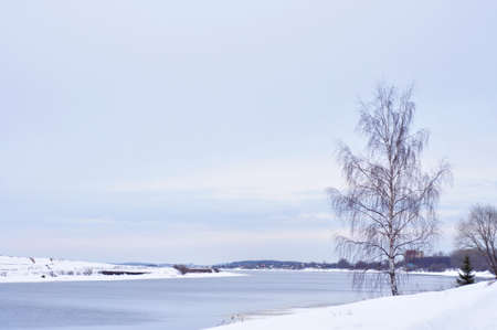 tree and the riverの写真素材