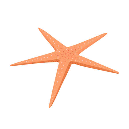 Starfish flat illustration isolated on white background. Cartoon underwater creature.のイラスト素材