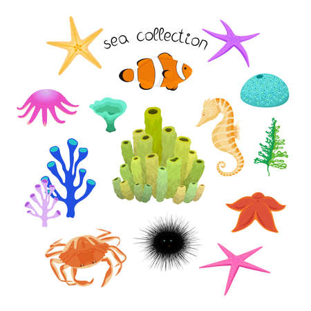 Collection with underwater animals on white background. Vector hand drawn illustration with sea creatures.のイラスト素材
