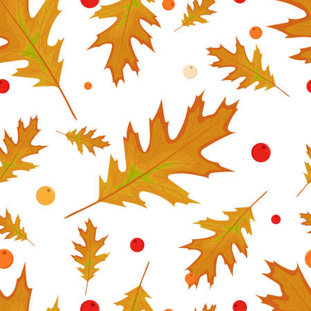 Autumn leaves seamless pattern on white backgroundのイラスト素材