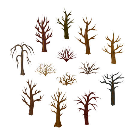 Set with leafless trees and bushes in winter and autumn season.のイラスト素材
