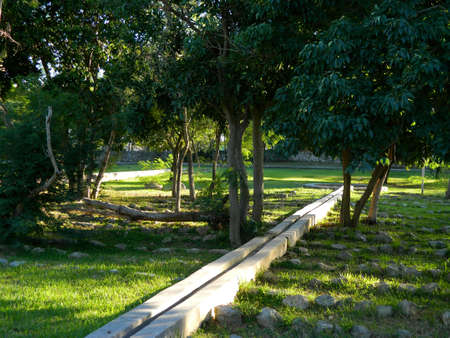 An small garden space lit by the sun during a quiet afternoonの写真素材