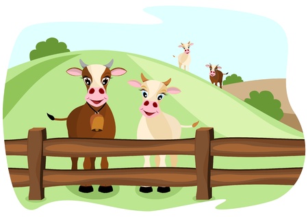 two cute cows on pasture in a wooden fence, with landscape in backgroundのイラスト素材