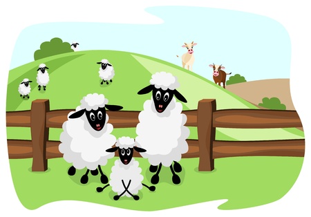 three white sheep on pasture with a wooden fence and landscape in backgroundのイラスト素材
