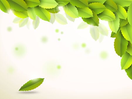 Abstract background with green leafs - illustrationの写真素材