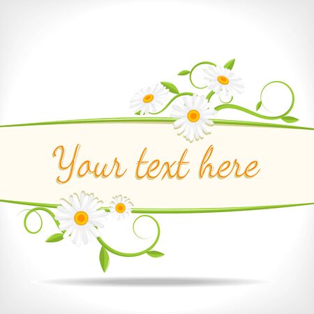 herbal background - banner with green twigs and flowers of chamomile のイラスト素材