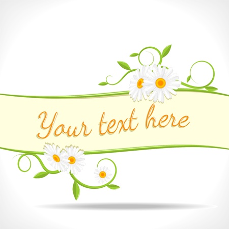 herbal background - banner with green twigs and flowers of chamomile のイラスト素材