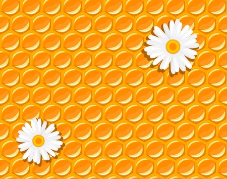 seamless background - honeycomb and flowers of chamomile illustrationのイラスト素材