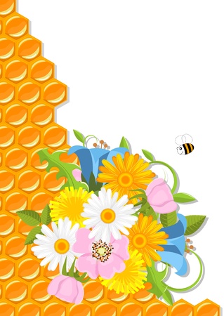 spring flowers, bee and honeycomb illustrationのイラスト素材