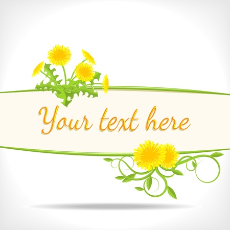 herbal background - banner with green twigs and flowers of dandelion - vector illustrationのイラスト素材